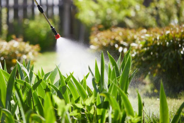 Tamper-Resistant Bait Stations for Rodents in Remington