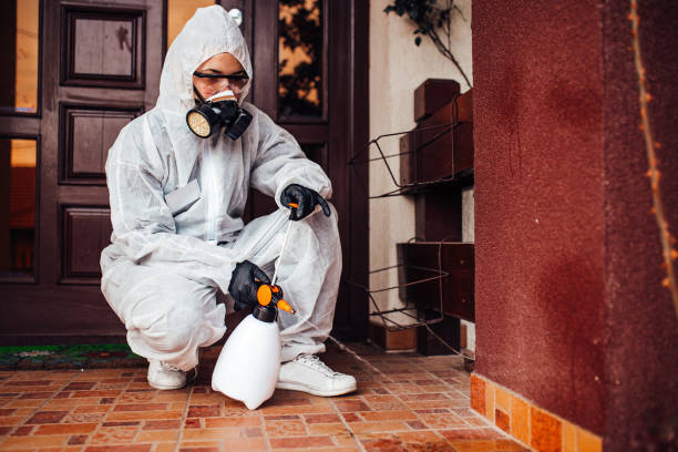 Attic and Crawl Space Rodent Treatment in Remington